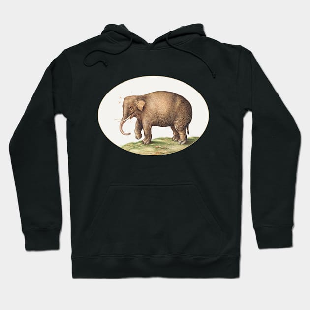 Elephant with Insects (1575–1580) Hoodie by WAITE-SMITH VINTAGE ART